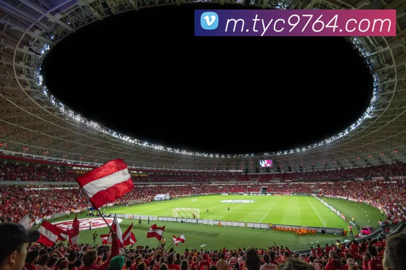 体育数据展示